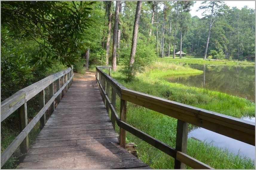 Clear Springs Trail: One Of The Best Hikes In Mississippi