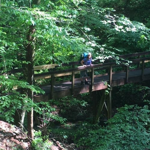 A person with a backpack stands on a wooden bridge surrounded by lush green trees and foliage.