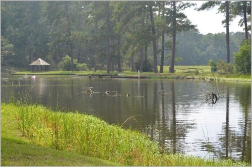 A serene lake surrounded by trees, with a gazebo in the background and reflections on the water's surface.