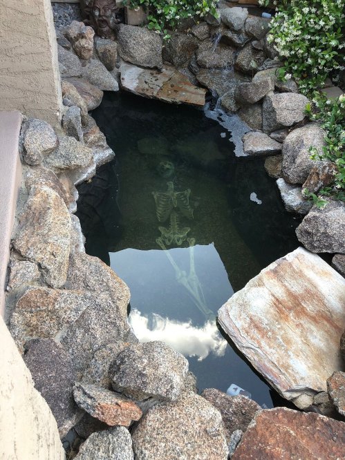 A skeleton submerged in a rocky pond, surrounded by stones and greenery.