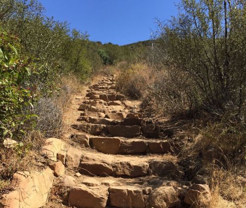 A rocky staircase leads up a hillside, surrounded by shrubs and clear blue sky above.