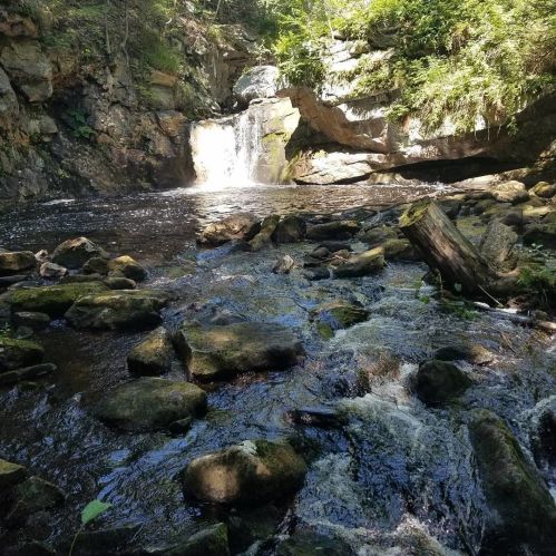 A serene waterfall cascades over rocks into a calm stream, surrounded by lush greenery and rugged terrain.