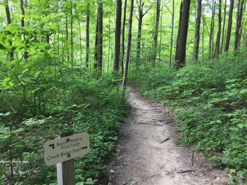 A winding dirt path through a lush green forest, with a sign for the Creek Ridge Trail visible.