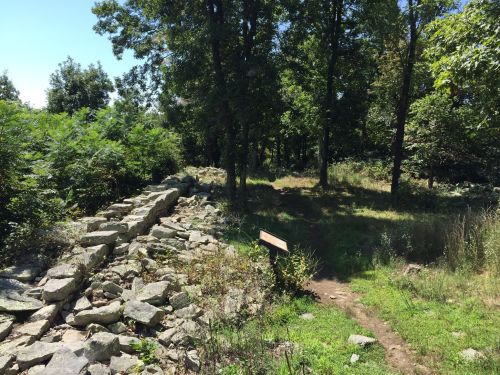 A sunlit path through greenery, with a stone wall and a signpost among trees in a natural setting.