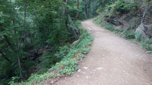 A winding dirt path surrounded by lush greenery and rocky terrain in a forested area.