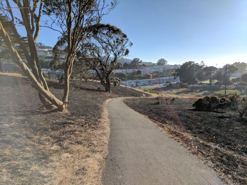 A winding path through a grassy area with trees, leading to a distant neighborhood under a clear blue sky.
