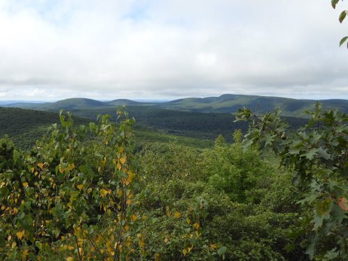 Lush green hills under a cloudy sky, viewed from a forested area with trees in the foreground.