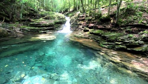 A serene forest scene featuring a clear blue pool of water and a small waterfall surrounded by lush greenery.