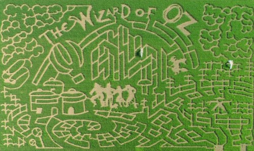 Aerial view of a corn maze designed with "The Wizard of Oz" theme, featuring paths and characters from the story.