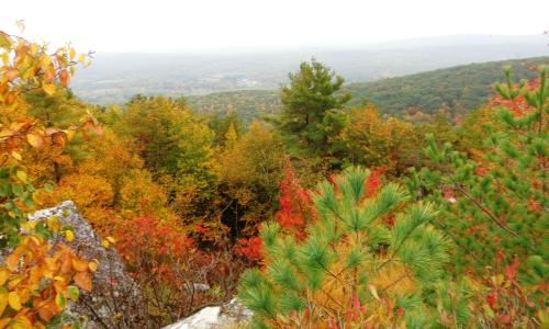 A scenic view of a colorful autumn landscape with vibrant orange, red, and green foliage on rolling hills.