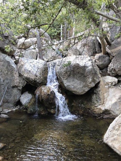 A small waterfall cascades over rocks into a clear pool, surrounded by trees and boulders in a serene natural setting.