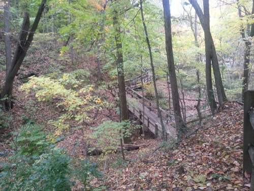 A serene forest scene with trees, fallen leaves, and a wooden bridge crossing a small ravine.