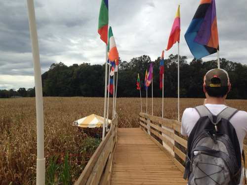 A person walks along a wooden path lined with colorful flags, leading into a cornfield under a cloudy sky.