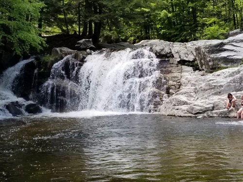 alt