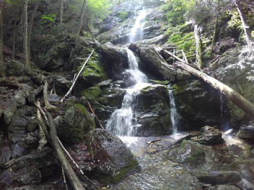 A serene waterfall cascading over rocks, surrounded by lush greenery and fallen tree branches.