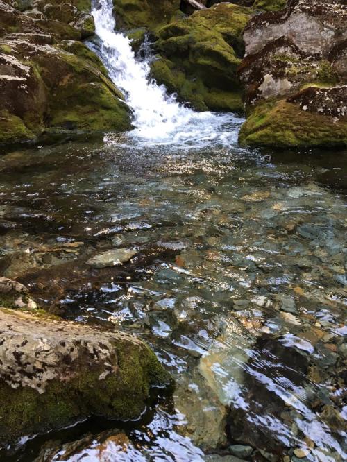 A serene stream flows over moss-covered rocks, with clear water revealing pebbles beneath.