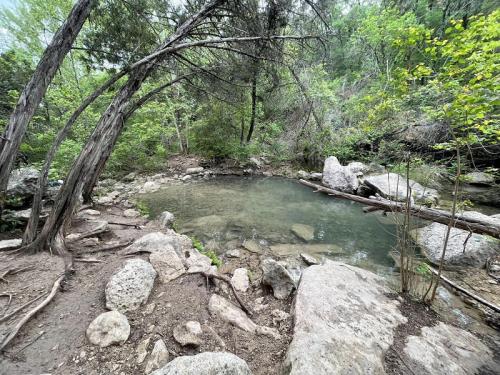 A serene natural scene featuring a clear pond surrounded by rocks and lush greenery under a canopy of trees.