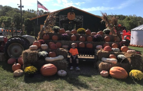 A child sits on a bench surrounded by hay bales and a variety of pumpkins at a pumpkin patch with a barn in the background.