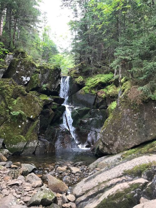 A serene waterfall cascades between moss-covered rocks in a lush green forest.