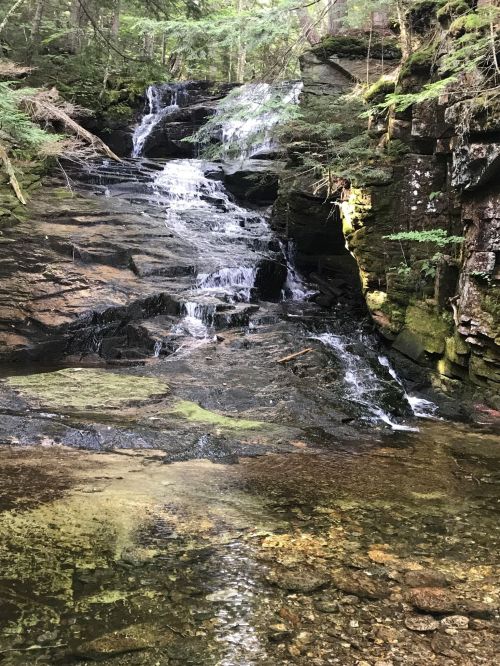 A serene waterfall cascading over rocky terrain, surrounded by lush green trees and a clear pool at the base.