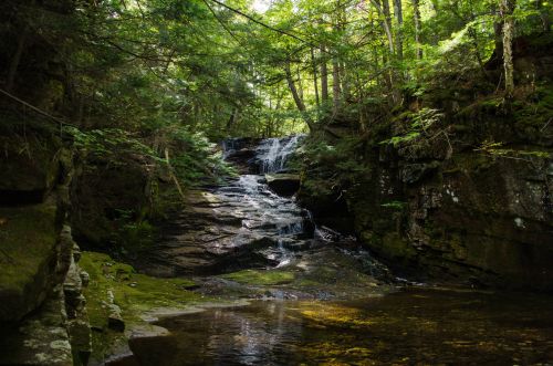 A serene waterfall cascades over rocks, surrounded by lush green trees and a calm pool of water below.