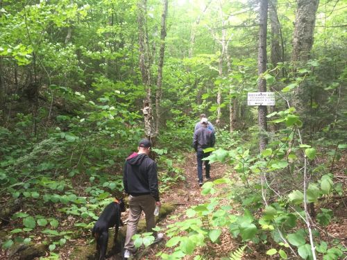 Two people and a dog walking on a wooded trail surrounded by lush green trees and foliage.