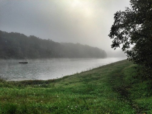 A misty river scene with lush green grass and trees along the bank, creating a serene, tranquil atmosphere.