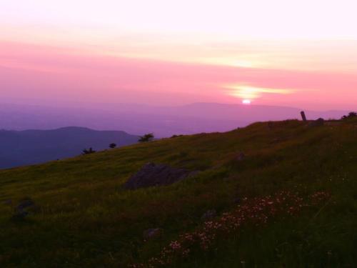 A serene landscape at sunset, with pink and purple hues illuminating rolling hills and a grassy foreground.