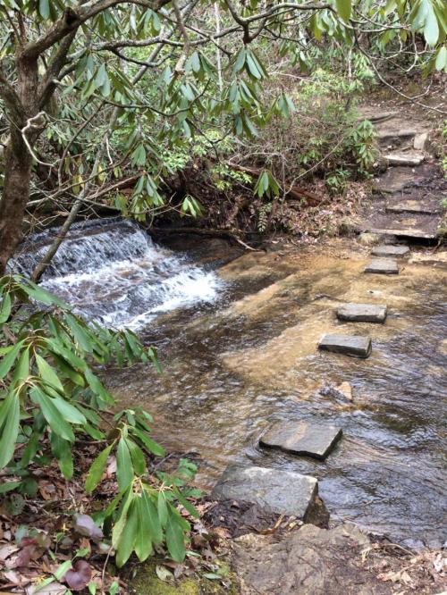A serene stream flows through a wooded area, with stone steps leading across the water. Lush greenery surrounds the scene.