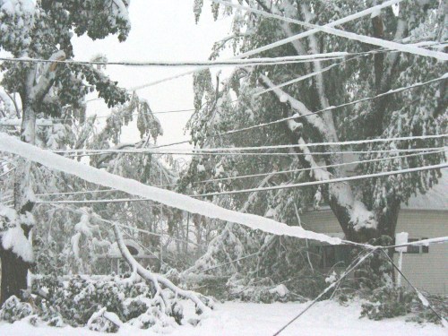 Snow-covered trees and power lines in a winter landscape, with branches weighed down by heavy snow.