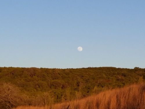 A clear sky with a full moon rising over a green hillside and golden grass in the foreground.