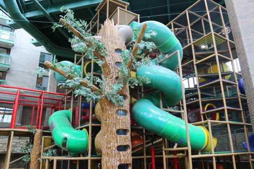 Colorful indoor playground featuring a large tree structure with green slides and climbing areas.