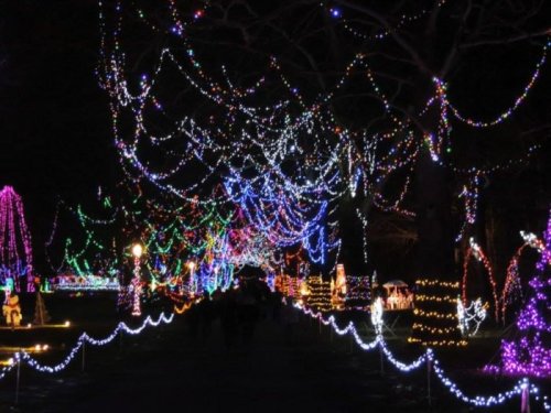 A festive pathway illuminated with colorful holiday lights, creating a magical atmosphere at night.