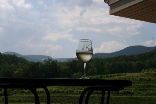 A glass of white wine sits on a table with a scenic view of mountains and vineyards in the background.