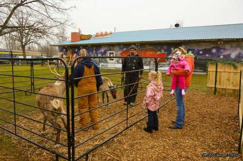 A group of people, including children, interact with reindeer in a fenced area near a colorful building.