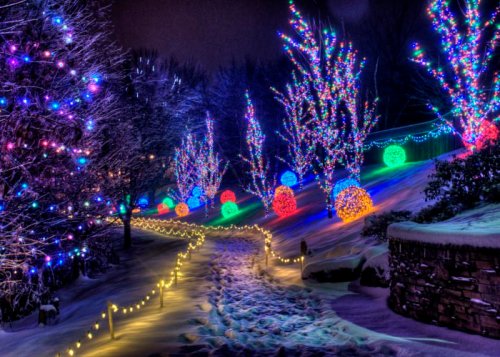 A snowy path illuminated by colorful holiday lights on trees and decorative orbs, creating a festive winter scene.