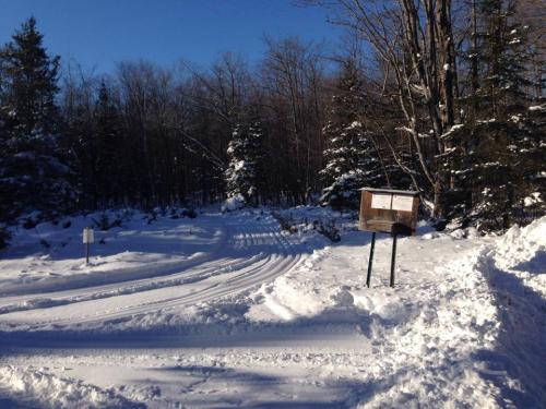 Snow-covered path leading into a forest, with a signpost and trees in the background under a clear blue sky.