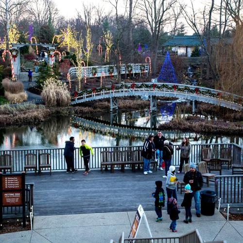 A festive park scene with a bridge over a pond, decorated trees, and people enjoying the holiday atmosphere.