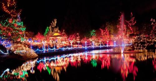 A vibrant display of colorful holiday lights reflecting on a calm pond at night, with trees and a gazebo illuminated.