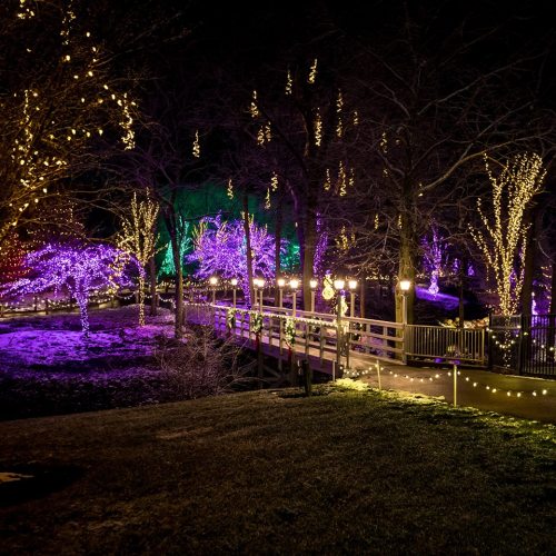A beautifully lit park at night, featuring trees adorned with colorful lights and a wooden walkway.