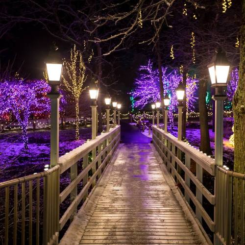 A lit pathway lined with glowing lamps, surrounded by colorful trees and festive lights at night.