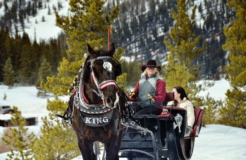 A horse-drawn carriage in a snowy landscape, with two people seated inside and a horse named "King" in front.