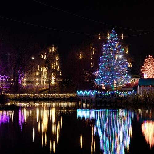 A brightly lit Christmas tree reflects in a calm lake, surrounded by colorful lights and trees in the background.