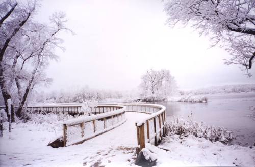 A snow-covered wooden walkway curves alongside a frozen river, surrounded by frosty trees and a serene winter landscape.