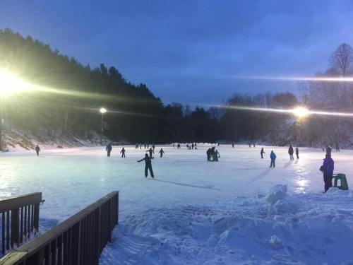 A winter scene of an outdoor ice skating rink with people skating under bright lights and surrounded by snow-covered trees.