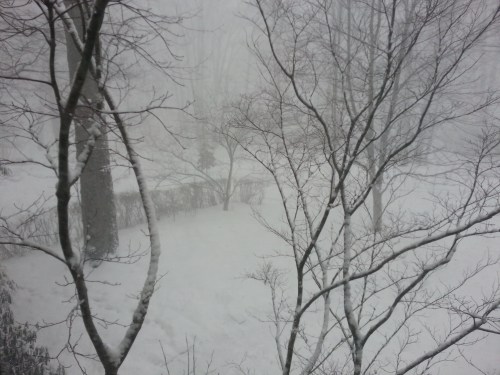 A snowy landscape obscured by heavy snowfall, with bare trees and a faint outline of a path in the background.