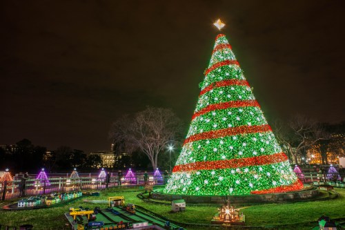 A large, brightly lit Christmas tree with red and green decorations stands in a park, surrounded by smaller illuminated trees.