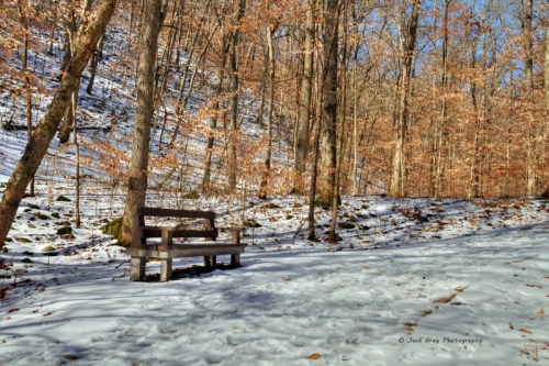 A wooden bench on a snowy path surrounded by trees with autumn leaves in a serene forest setting.