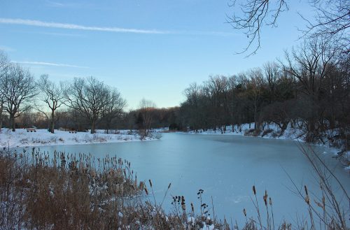 A serene winter scene of a frozen lake surrounded by bare trees and snow-covered ground under a clear blue sky.