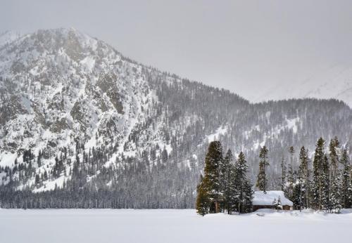 A snowy landscape featuring a small cabin surrounded by tall trees and a mountain in the background under a gray sky.